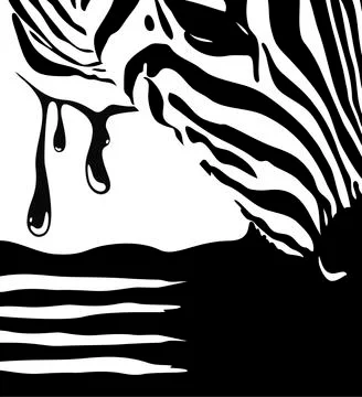 Graphical poster with head zebra closeup black and white ink, vector template Stock Illustration