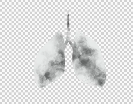 Graphical representation of the lungs 02 Stock Illustration