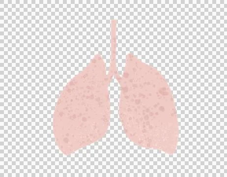 Graphical representation of the lungs 03 Stock Illustration