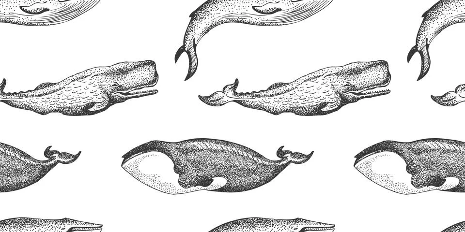 Graphical seamless pattern with set of whales isolated on white background. S Illustrazione stock