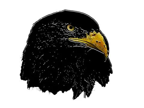 Graphical sketch of silhouette predator eagle Illustrazione stock
