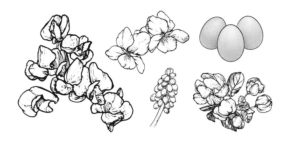 Graphical spring set isolated on white background, vector illustration Stock-Illustration