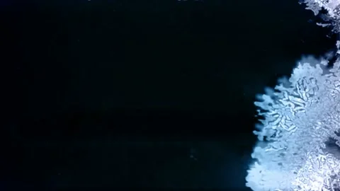 Graphical user interface Stock Footage 157861823