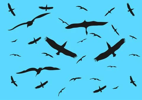Graphics bird on sky isolated white background vector illustration Illustrazione stock
