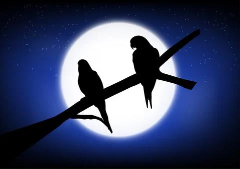 Graphics drawing silhouette Two Bird standing on a branch with moon Ilustração Stock