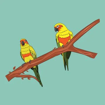 Graphics drawing Sun Conure Parrots on a branch of the tree vector Stockillustratie