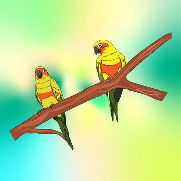Graphics drawing Sun Conure Parrots on a branch of the tree vector Stockillustratie