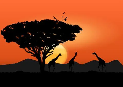 Graphics image giraffe at the forest and tree with sunset and light orange Stock-Illustration