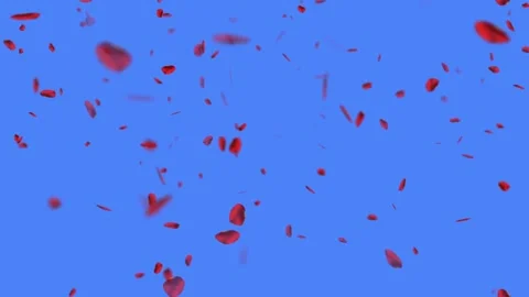 Graphics in motion falling rose petals red on a blue background Stock Footage 138622545