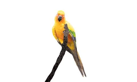 Graphics Polygon Image Parrot sitting on a branch isolated white background.. Stock Illustration