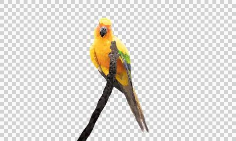 Graphics Polygon Image Parrot sitting on a branch transparency illustration Stock Illustration