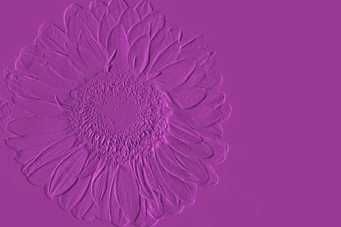 Graphics - a shape of gerbera bloom on a violet background Stock Photos