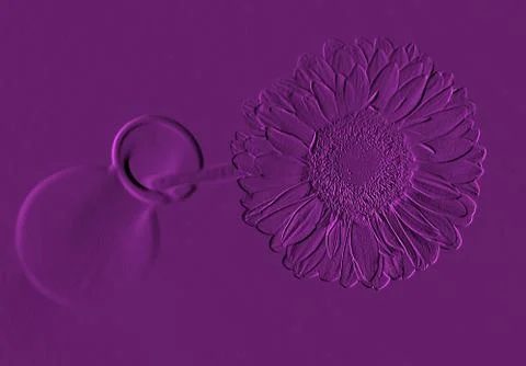 Graphics - a shape of gerbera bloom on a violet background Stock Photos