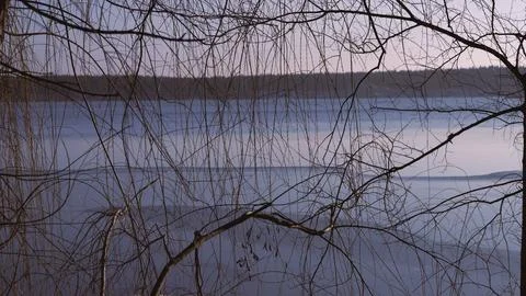 Graphics of winter tree branches, close-up Stock Photos