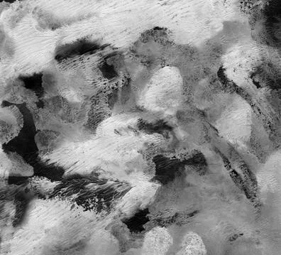 Graphite background. Simple abstract black-white watercolor, animal print. Stock Illustration