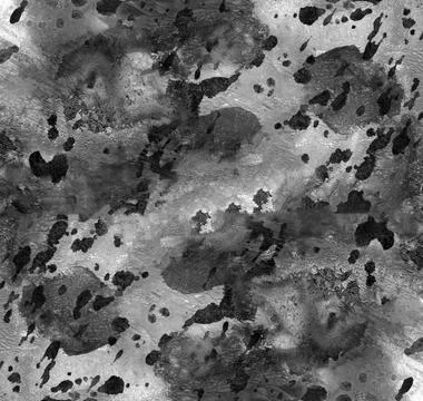 Graphite background. Simple abstract black-white watercolor, animal print. Stock Illustration