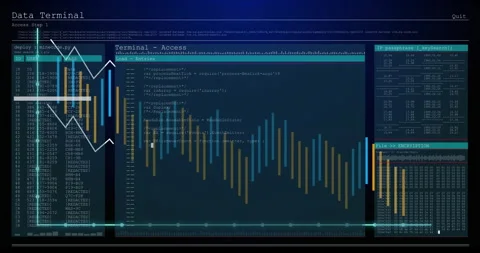 Graphs and code displayed for data analysis and processing on terminal interface 動画素材 306217584