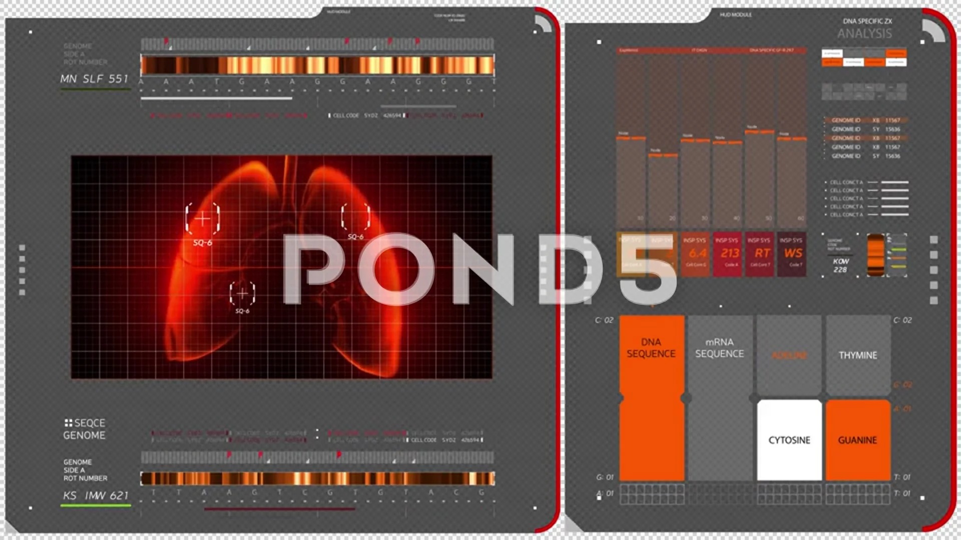 pond5