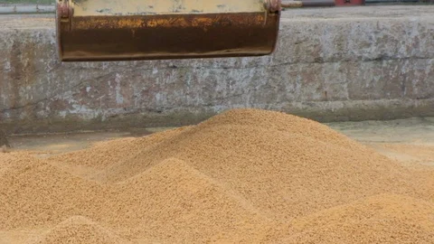 Grapple crane unloading and loading corn feed. Bulk food cargo. Transport Video stock 121346399
