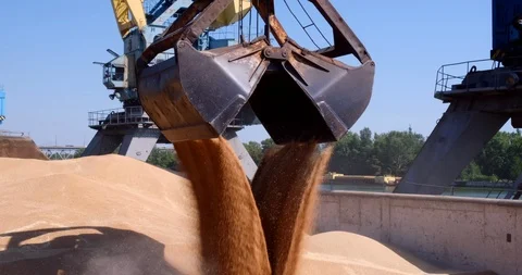 Grapple crane unloading and loading corn feed from truck in port Video stock 121366908