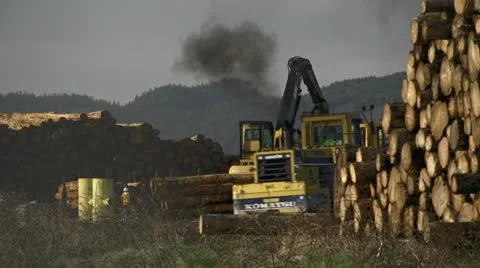 Grapple Loader and Yarder Working Logging Deck at Docks 2 Stock Footage 22119539