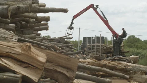 Grapple operator loading row wood material on truck for pellets production Stock Footage 132974409
