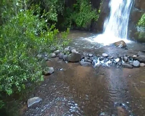 Graskop Waterfalls Stock Footage 110854601