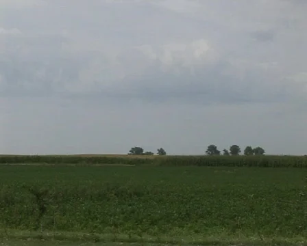 Grasland Stock Footage