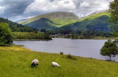 Grasmere Stock Photos