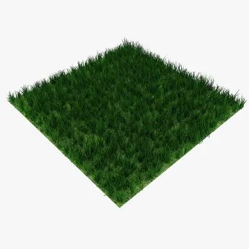 Grass 03 A 3D Model