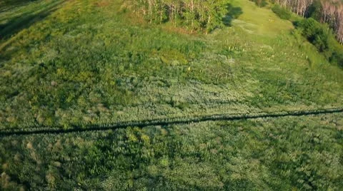 Grass 03.mp4 Video stock 8977244