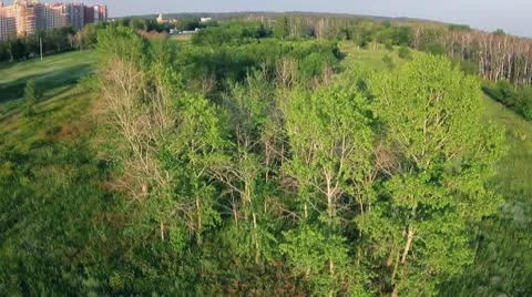 Grass 04.mp4 Video stock 8977251