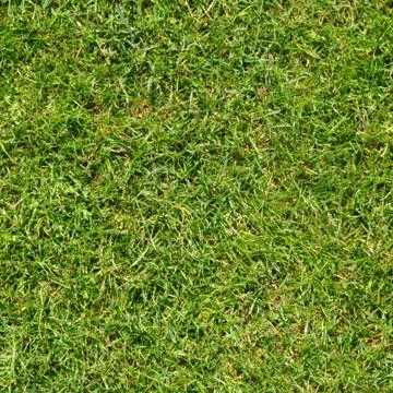 Grass 1 Stock Photos