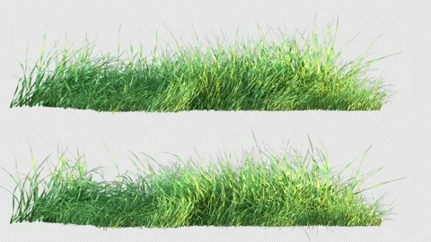 Grass 2 clip with Alpha Channel Stock Footage 212031002