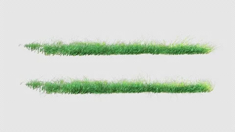 Grass 2 clip Stock Footage 203663775