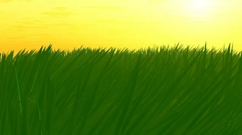 Grass 2 Stock Footage 600790