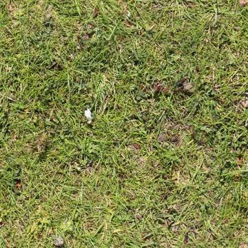 Grass 5 Stock Photos