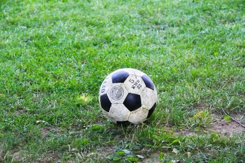 Grass and ball Stock Photos