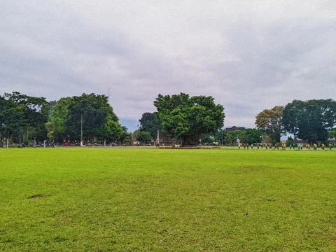 Grass and banyan Stock Photos