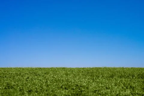 Grass and blue sky background Stock Photos