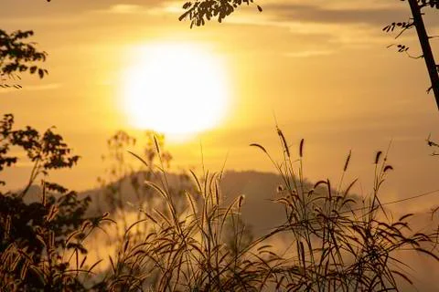 Grass and blurry background image of the sun in the morning. Stock Photos