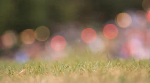 Grass and Bokeh 01 Stock Footage 27016108