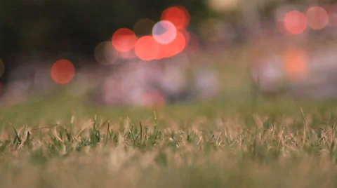 Grass and Bokeh 02 Stock Footage 27015747