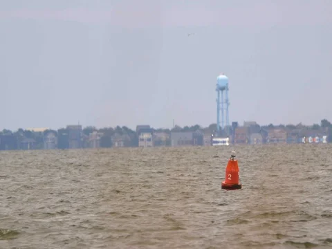 Grass and Buoy 스톡 동영상 79970468