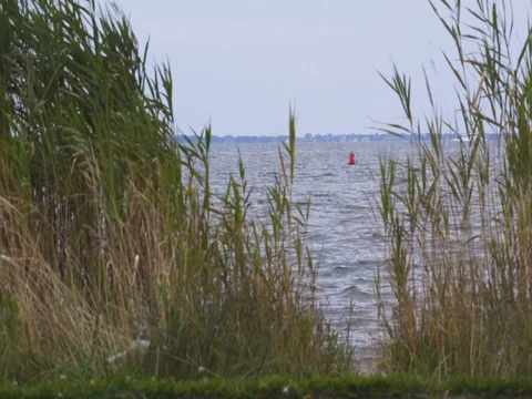 Grass and Buoy Stock Footage 79970578