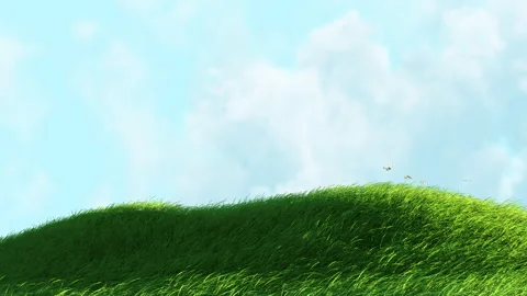 Grass and Butterfly Loop Stock Footage 155376926