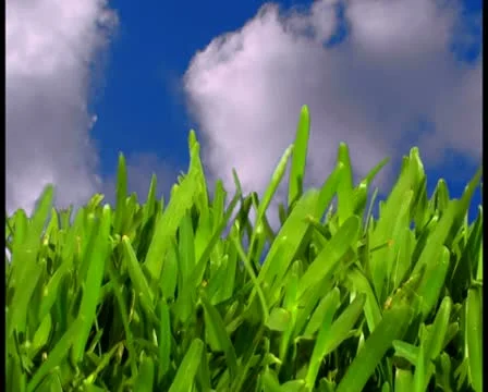 Grass and clouds time lapse V2 - PAL Stock Footage 10761207