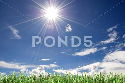 Grass and cloudy sky Stock Photos