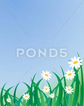 Grass and daisies Stock Illustration