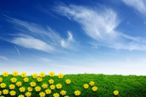 Grass and daisies Stock Photos